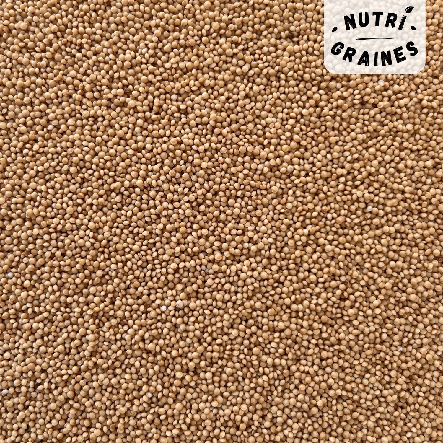 quinoa