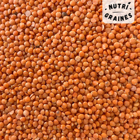 Lentilles Corail HVE Origine France