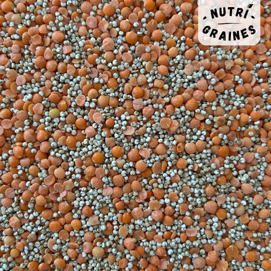 Mélange Quinoa / Lentilles corail 100% origine France