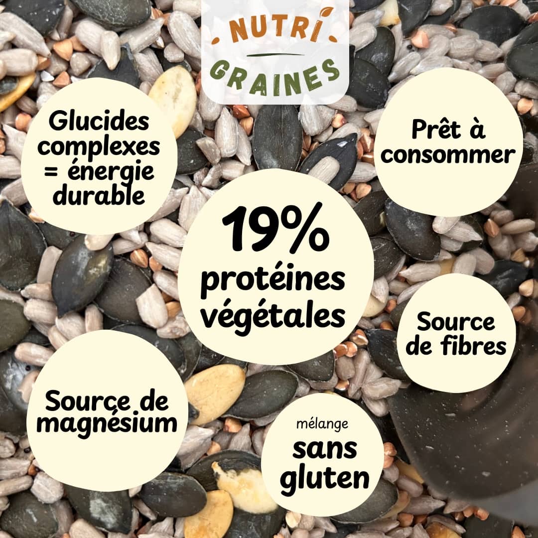 Mélange Croq 4'Energie | Le mix aux 4 graines