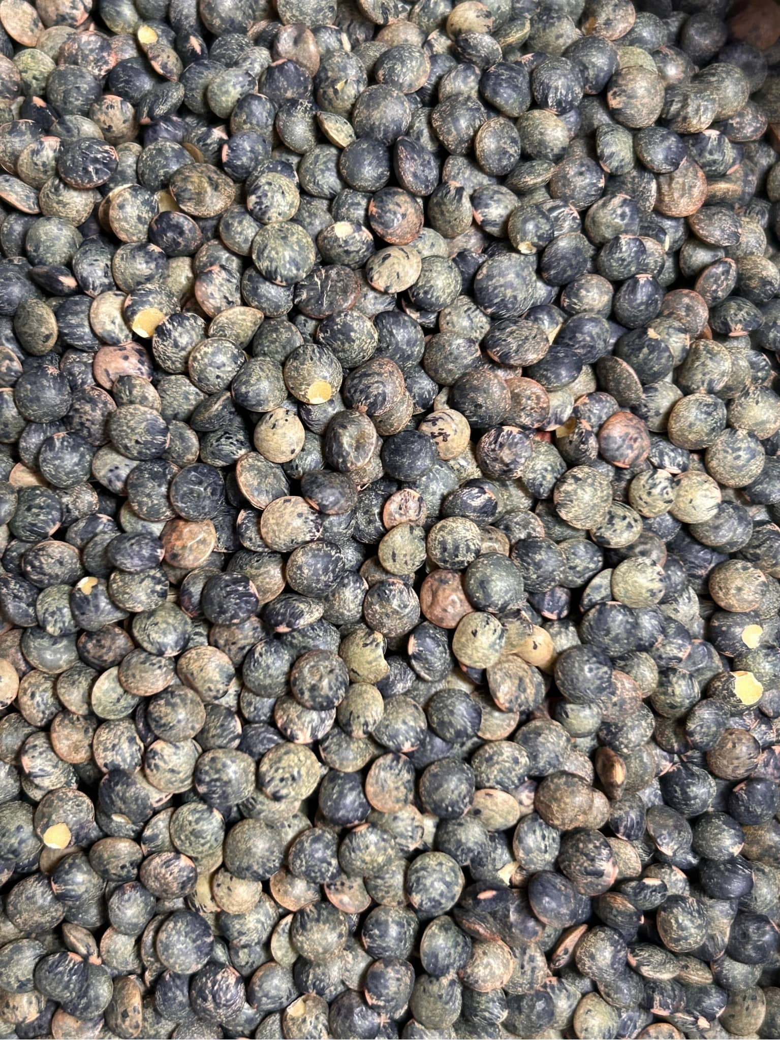 lentilles vertes origine france