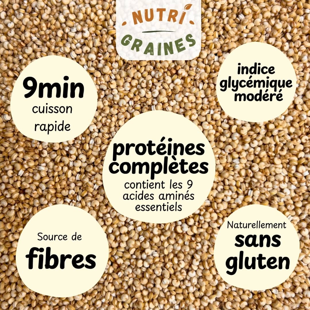 quinoa dodu cultivé en France