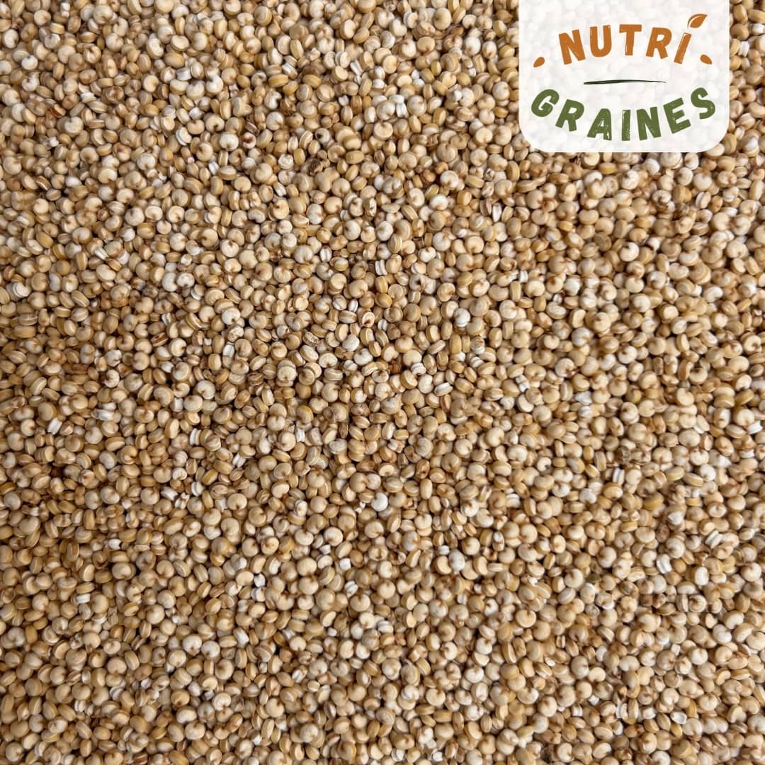quinoa dodu origine France