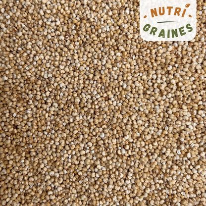 quinoa dodu origine France