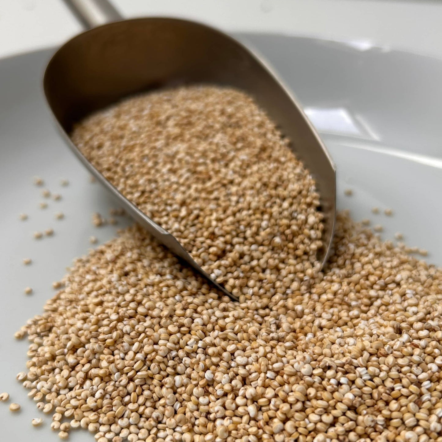 quinoa nutri-graines sans saponine